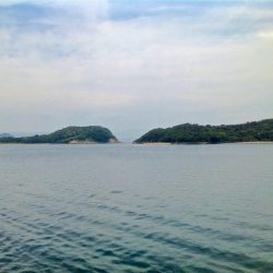 ちょい投げキスとサビキサヨリ